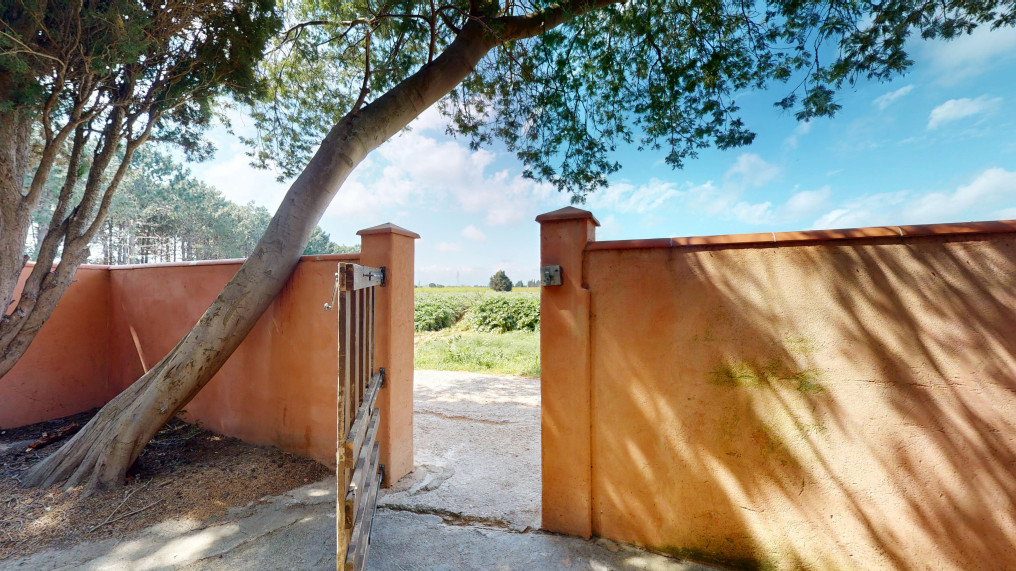 Extérieur pigeonnier 2