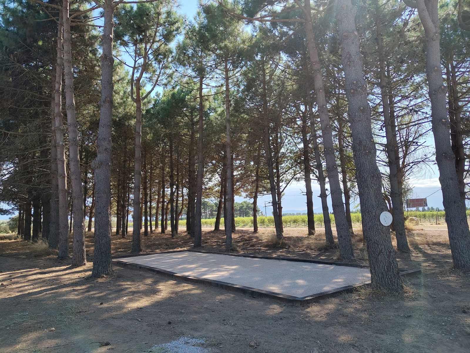 Terrain de pétanque à l'ombre des pins au Mas Bazan